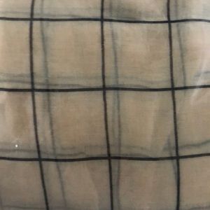 Rachel pally sheer scarf